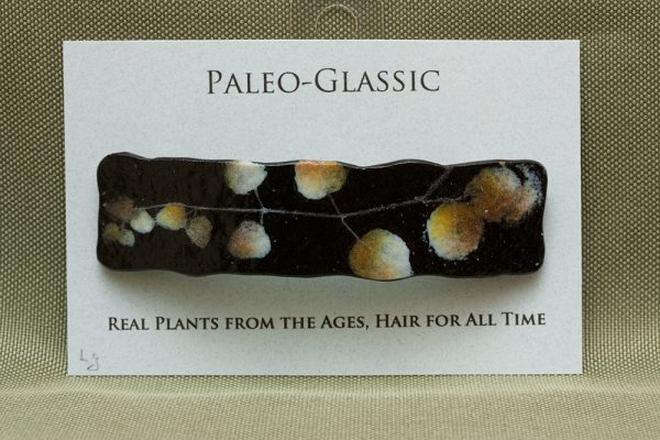 glass hair clip paleo-glassic brown partridgeberry
