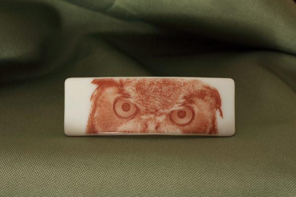glass barrette photo-graphica owl eyes