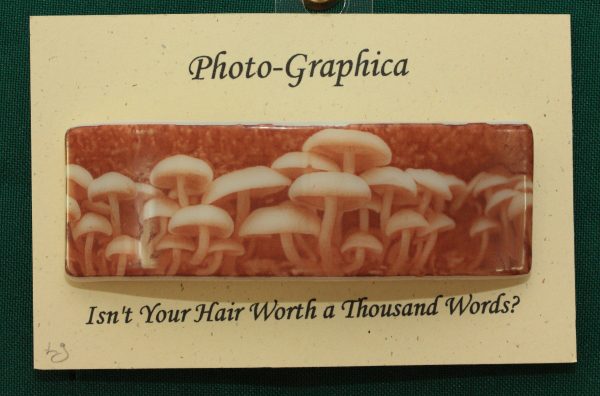 fused glass barrette mushroom Photo-Graphica